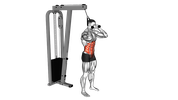 Standing Cable Ab Crunch