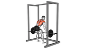 Barbell Bent Over Row From Pin