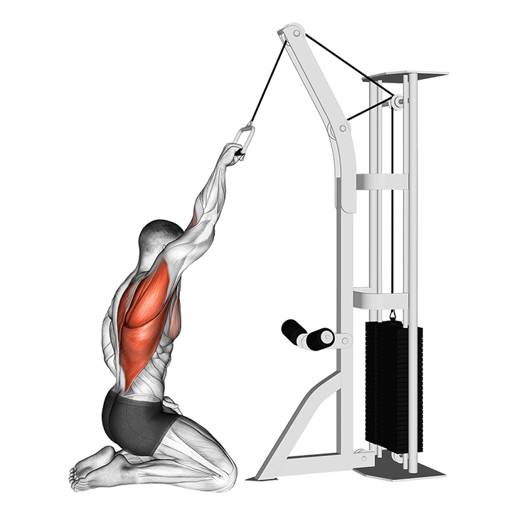 One-Arm Cable Half-Kneeling Lat Pulldown