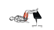 Glute Bridge on Bench