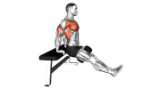 Weighted Bench Dips