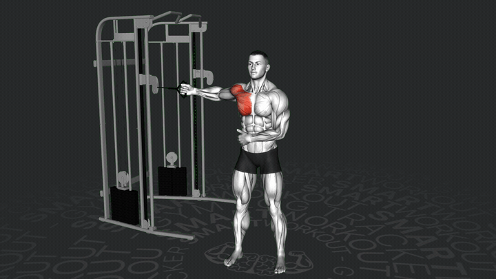 Apertura Polea Unilateral