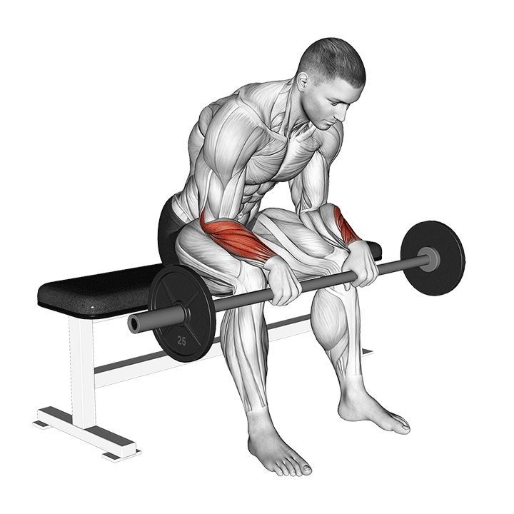 Barbell Reverse Wrist Curl