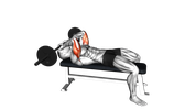 Extensions triceps