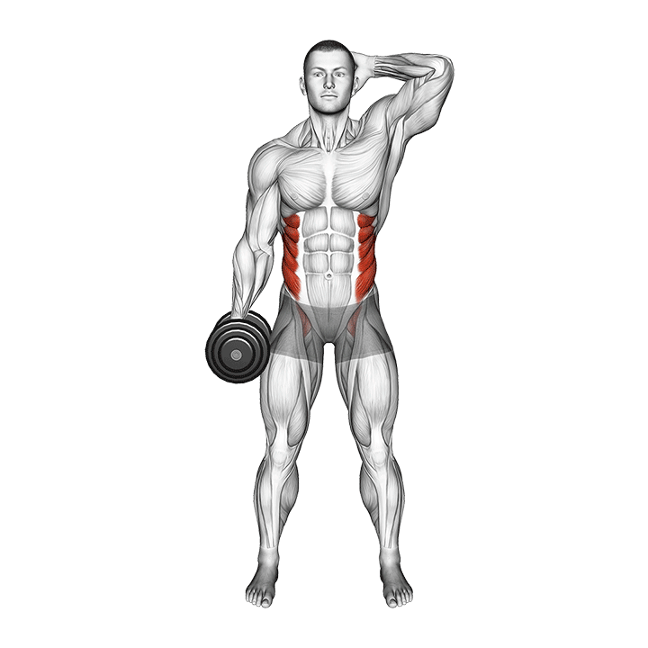 Dumbbell Standing Side Bend