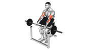 Curl au pupitre avec barre