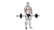 Barbell Reverse Grip Forearm Curl
