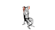 Dumbbell Seated Triceps Extension