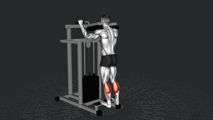 Sollevamenti del Polpaccio alla Macchina