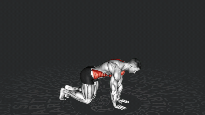 Estiramiento de Rotación de Espalda Arrodillado