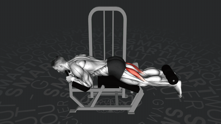 Curl delle gambe da prono