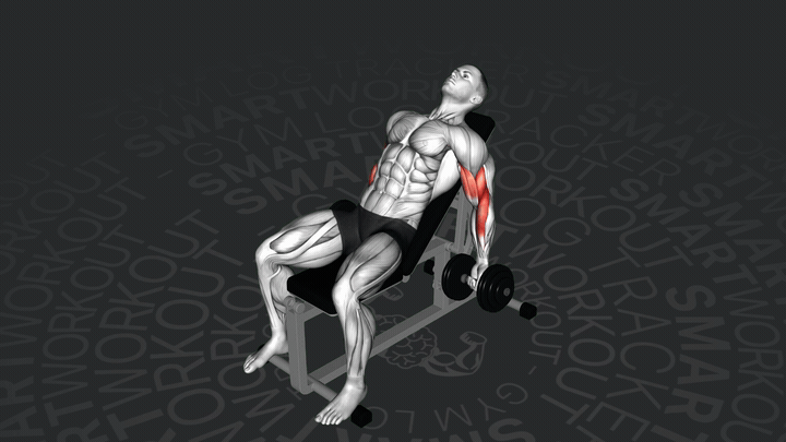 Сгибание рук на наклонной скамье сидя