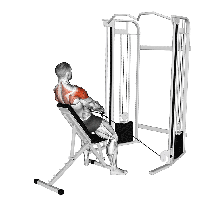 Cable Incline Y Raise Back Supported