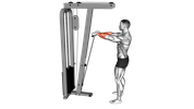 Cable Standing Wrist Roll