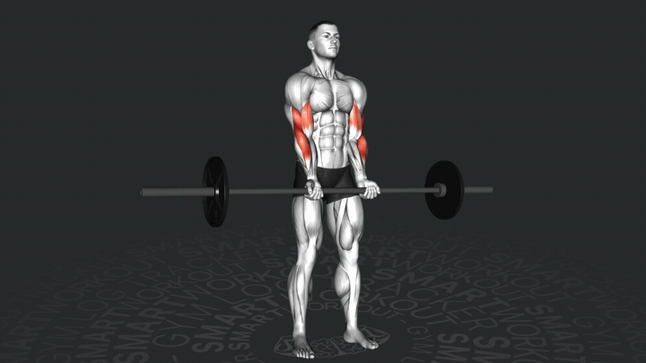 Сгибание рук на бицепс узким хватом