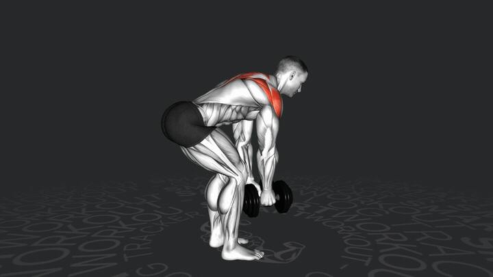 Alternate Bent Over Dumbbell Reverse Fly