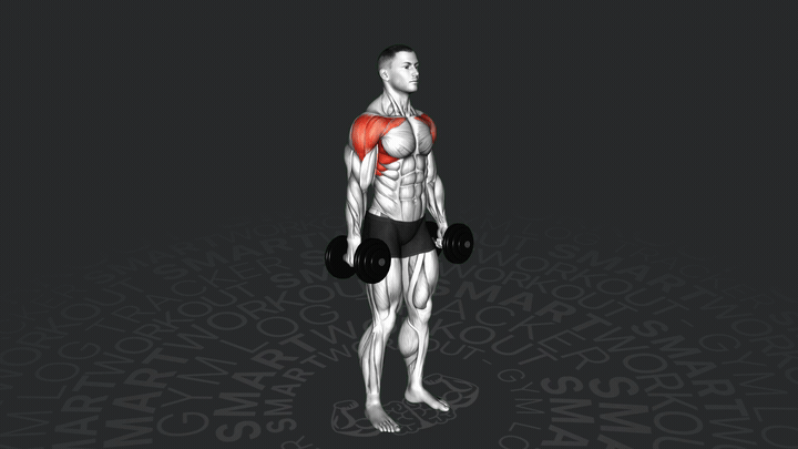 Dumbbell Alternate Hammer Front Raise