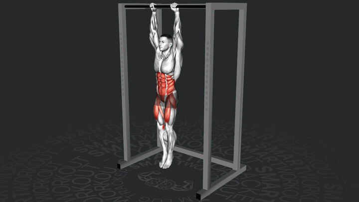 Подъем коленей к локтям в висе