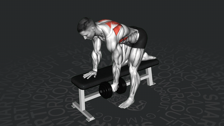 Тяга гантели в наклоне одной рукой с акцентом на лопатки