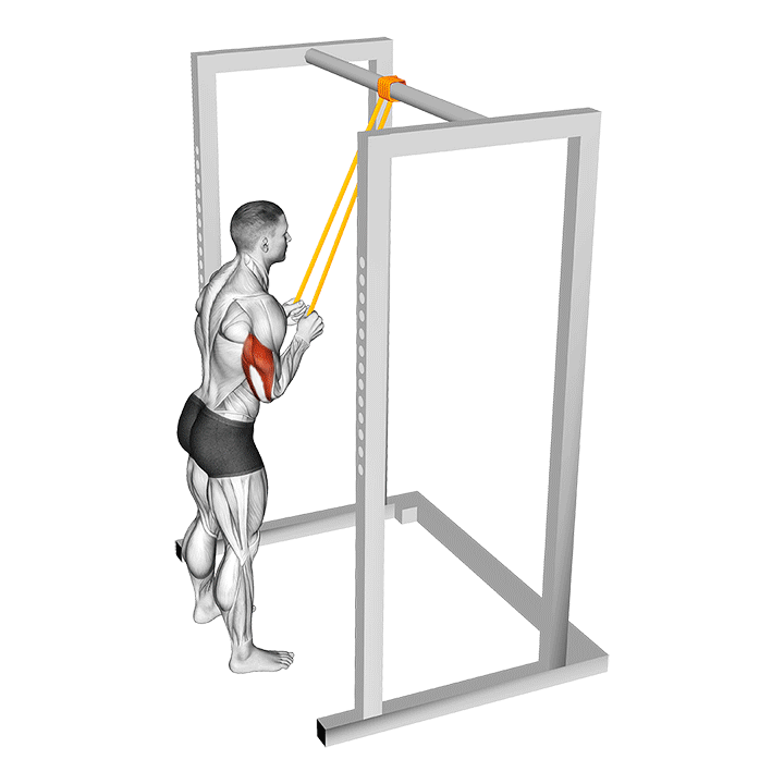 Band Triceps Pushdown