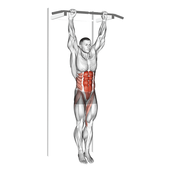 Hanging Knee To Chest