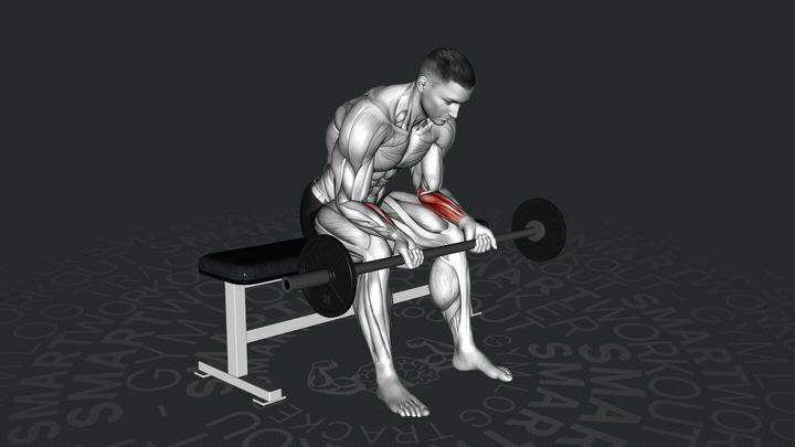 Langhantel-Handgelenkbeugung