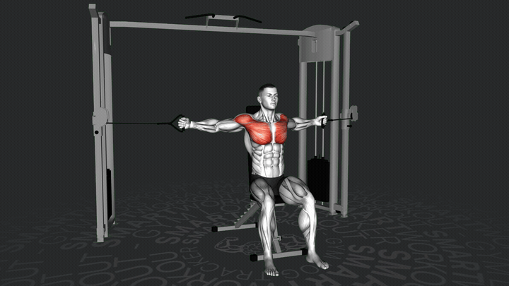 Cruce de Poleas Medio en Banco