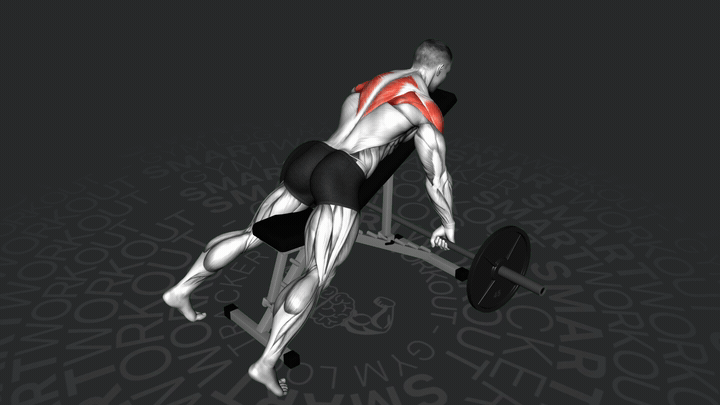 Тяга штанги в наклоне широким хватом на наклонной скамье