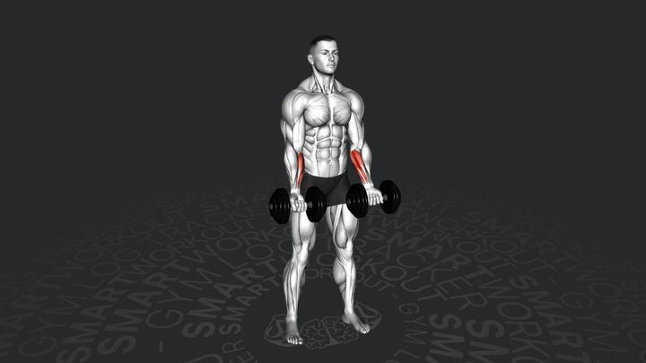 Kurzhantel Stehende Handgelenkbeugung