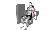 Machine Biceps Curl