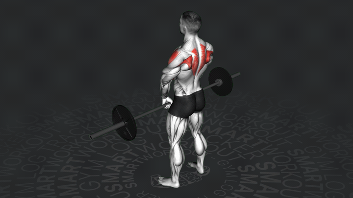 Barbell Narrow Grip Upright Row