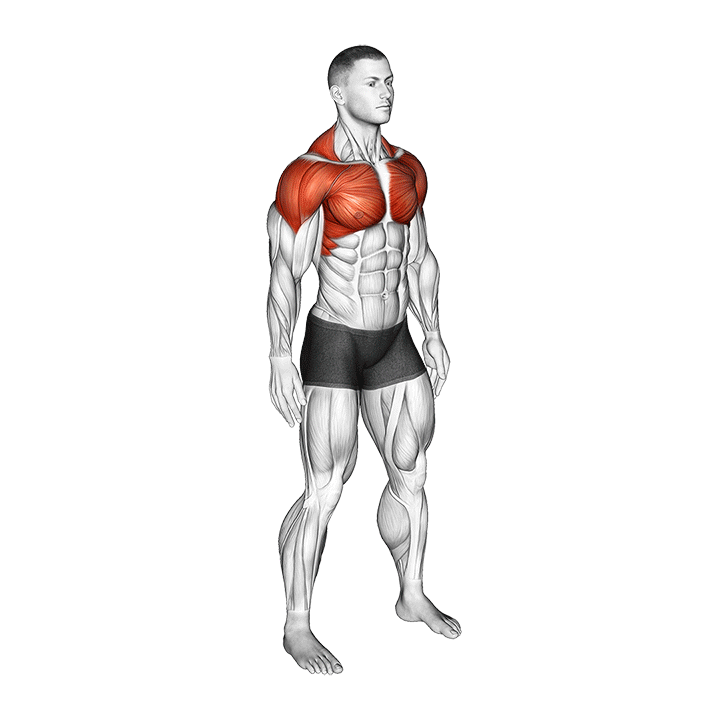 Shoulder Circles