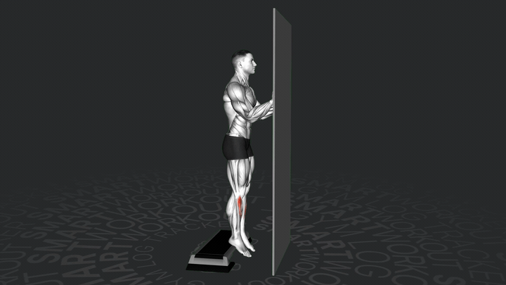 Sollevamento del Tibiale in Piedi