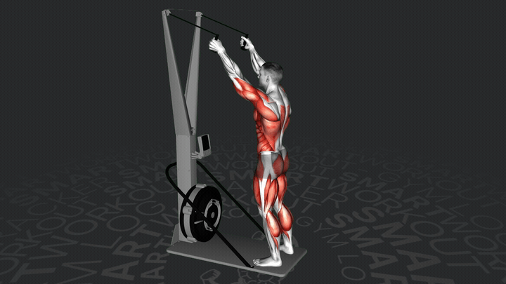 Лыжный эргометр