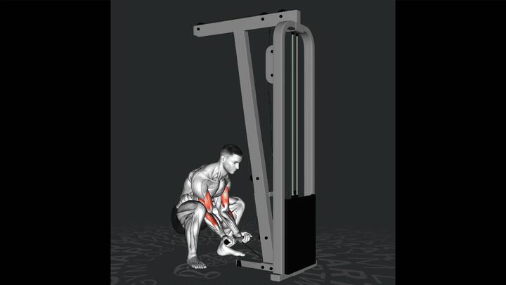 Сгибание рук на коленях с тросом