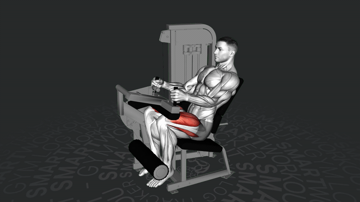 Macchina per Estensione delle Gambe da Seduto