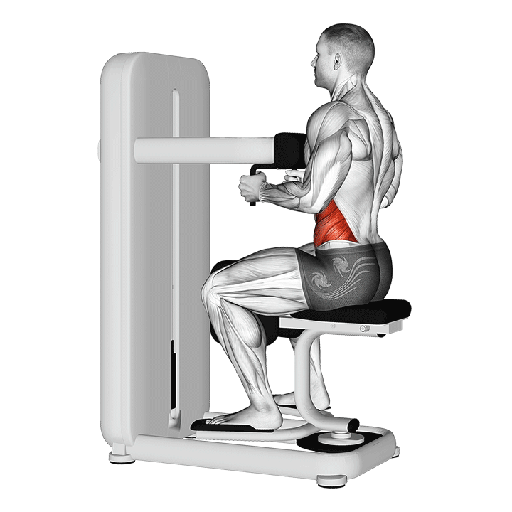 Seated Machine Trunk Rotation