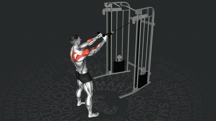 Cable Supinated Face Pull