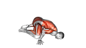 Frog Planche