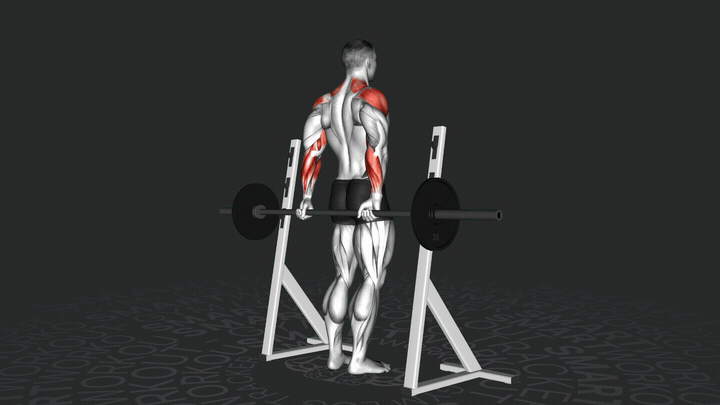 Barbell Rear Delt Raise