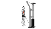 One-Arm Cable Biceps Curl