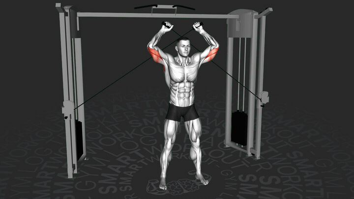 Katana Trizepsstreckung