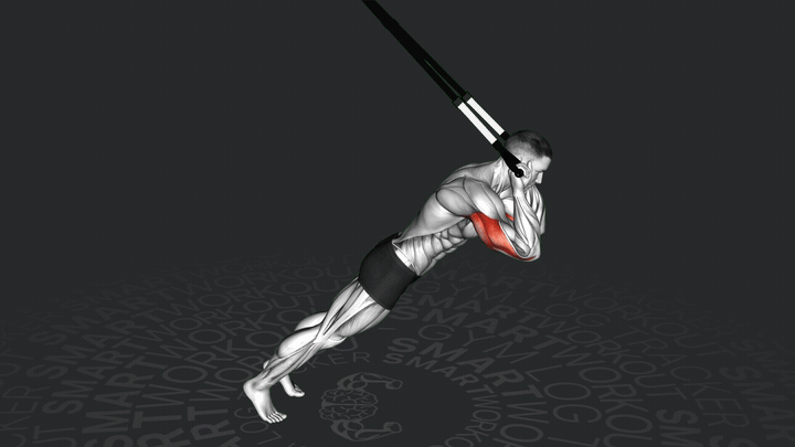 Schlingentrainer Trizepsstreckung