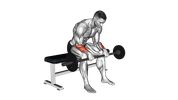 EZ-Bar Seated Reverse Wrist Curl