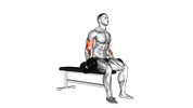 Seated Dumbbell Curl