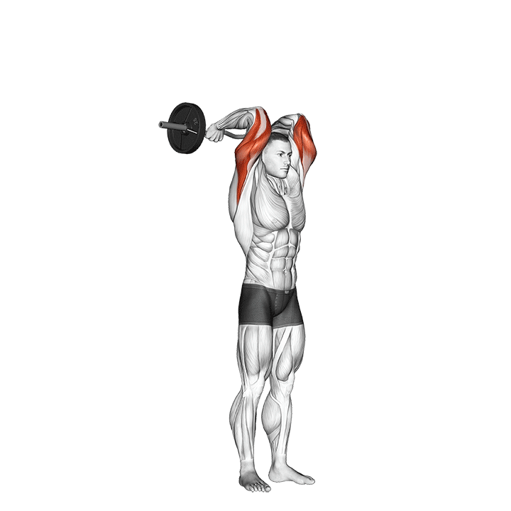 Standing Overhead Barbell Triceps Extension
