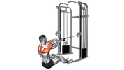 Seated Face Pull
