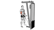 Bar Cable Biceps Curl