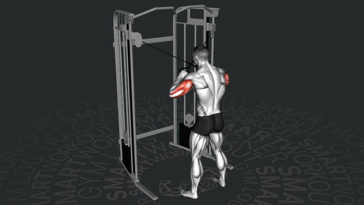 Kabelzug Trizepsstreckung