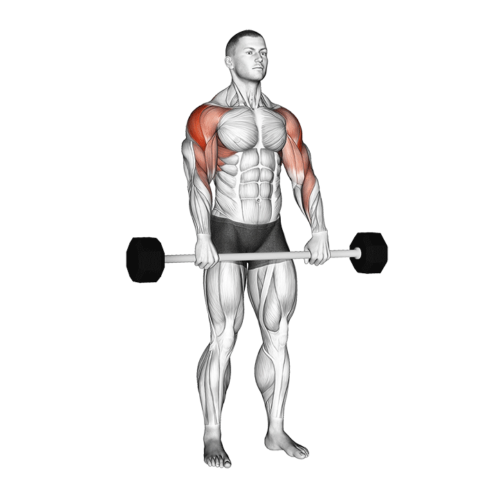 Barbell Shoulder Grip Upright Row